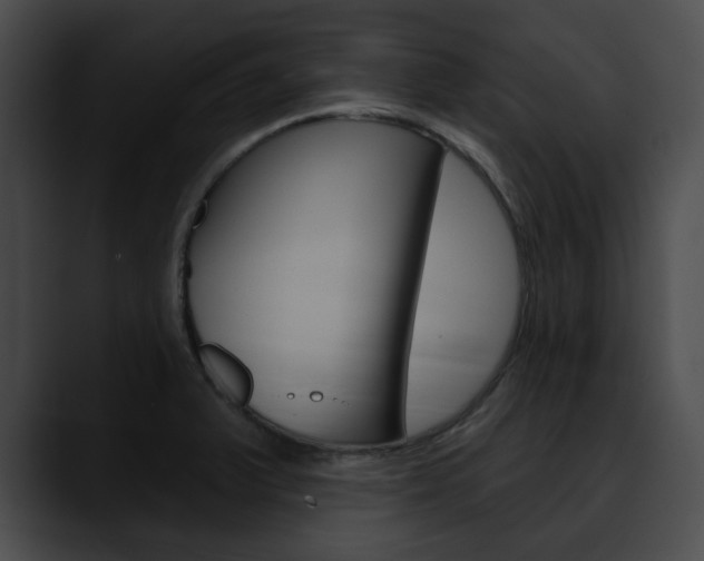 X0000090611375200707171036