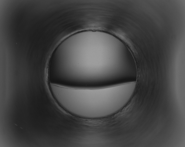 X0000090611383200707171036
