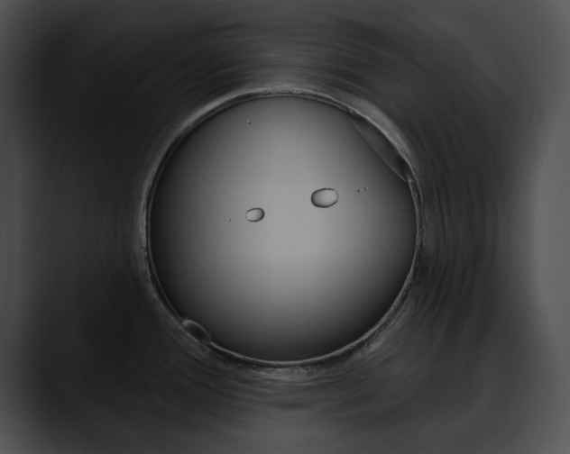 X0000090611388200707171036