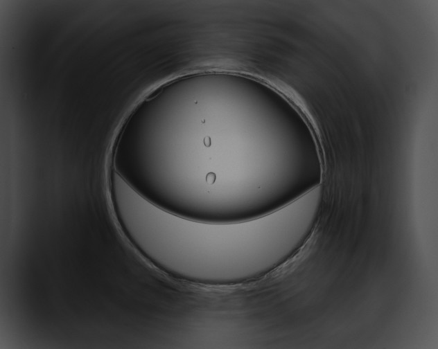 X0000090611389200707171036