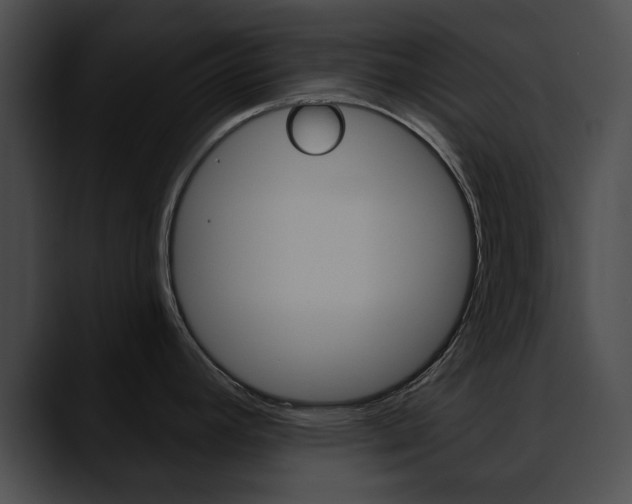 X0000090611392200707171036