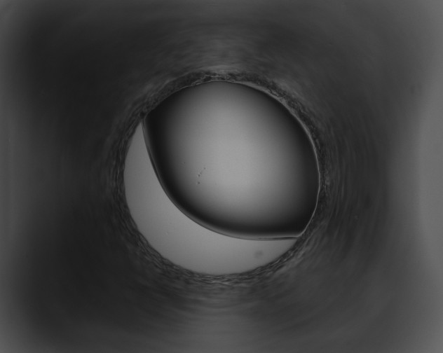 X0000090611398200707171035