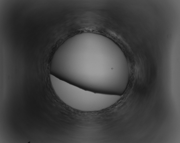 X0000090611399200707171035