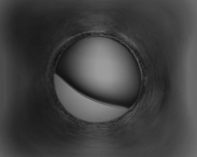 X0000090611400200707171035