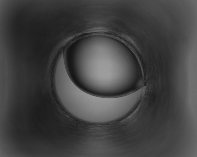 X0000090611406200707171035