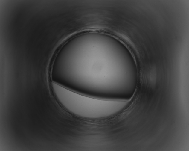 X0000090611412200707171035