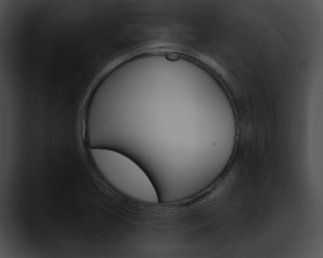 X0000090611413200707171035