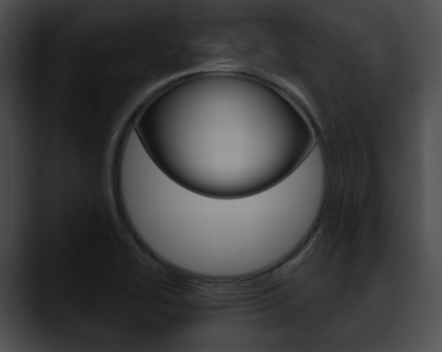 X0000090611414200707171035