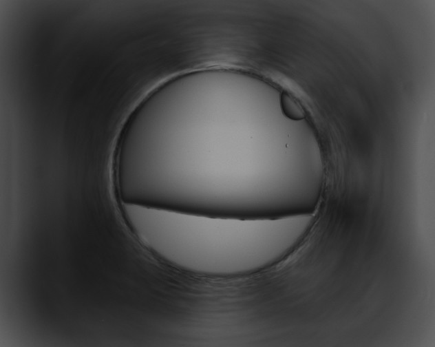X0000090611423200707171036