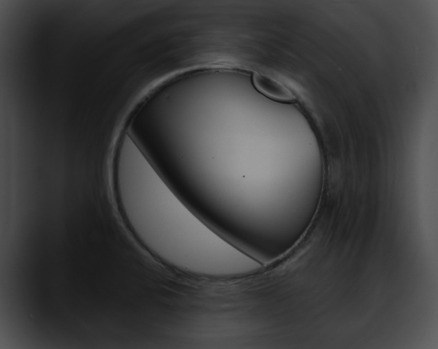 X0000090611424200707171036