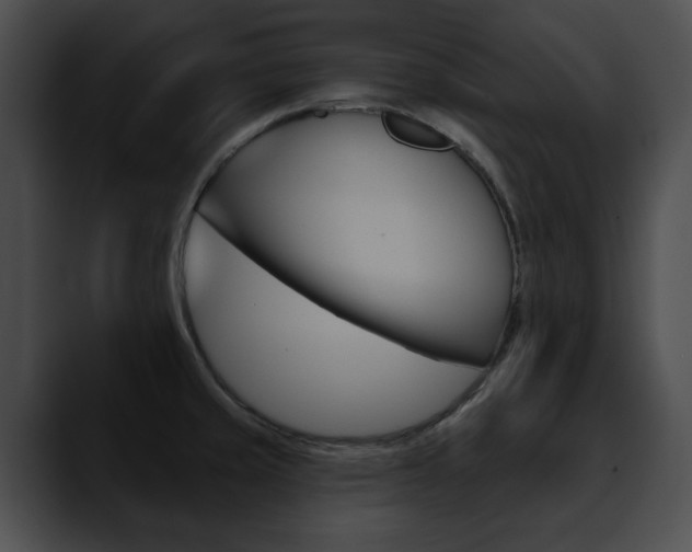 X0000090611429200707171036