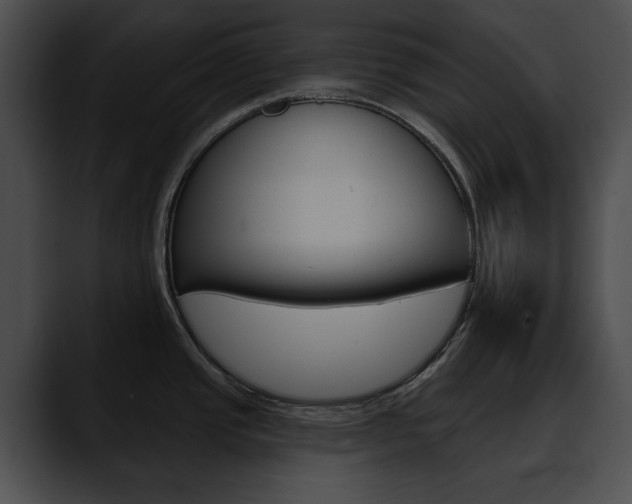 X0000090611437200707171036