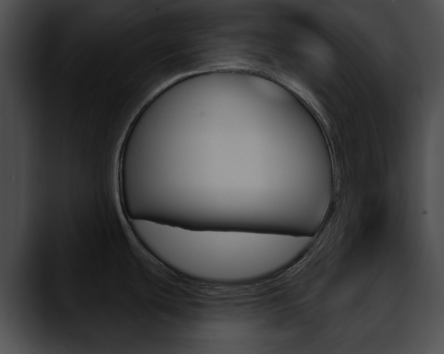 X0000090611439200707171036