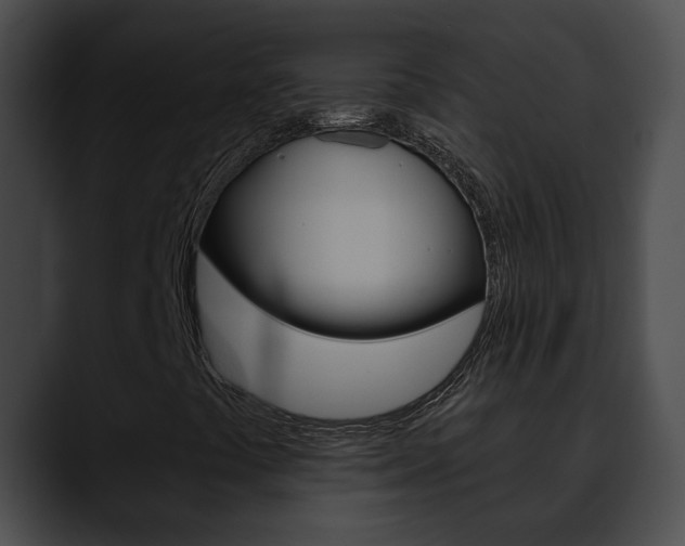 X0000090611441200707171035