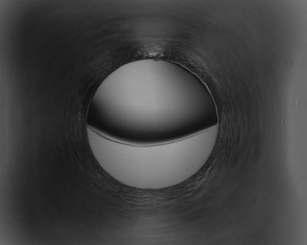 X0000090611442200707171035