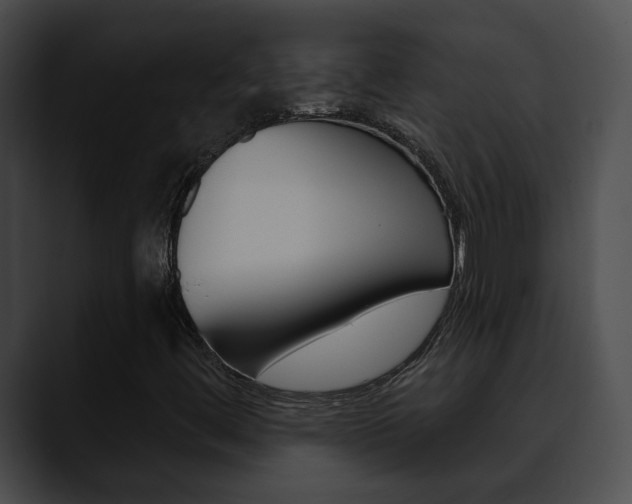 X0000090611444200707171035