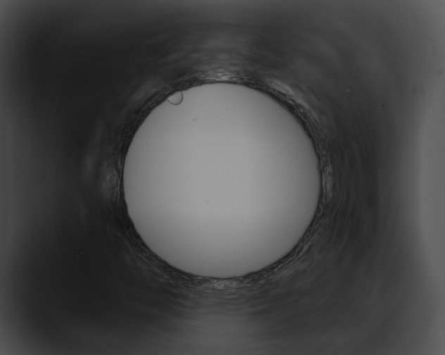 X0000090611446200707171035