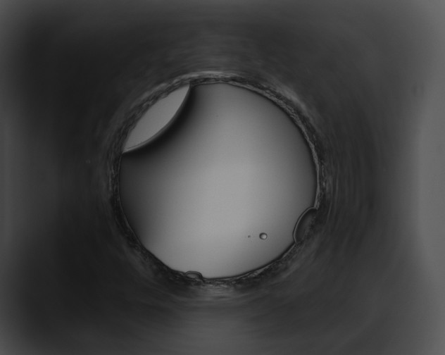 X0000090611448200707171035