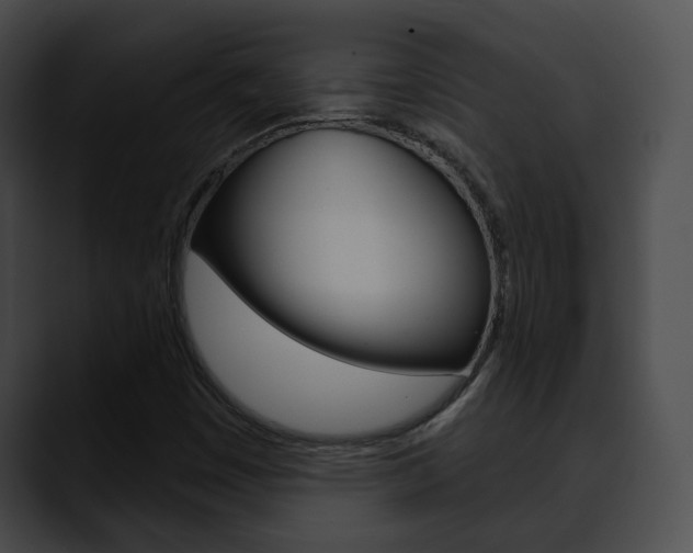X0000090611449200707171035