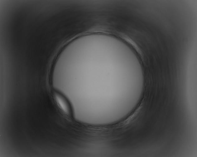 X0000090611461200707171035