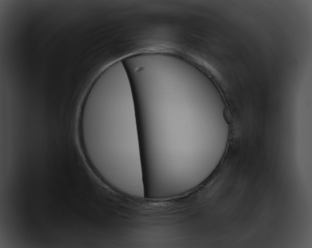 X0000090611471200707171035