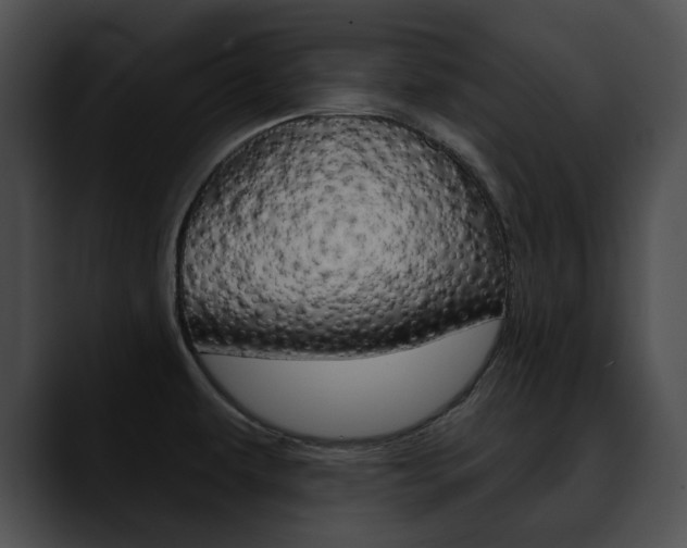 X0000090611479200707171035