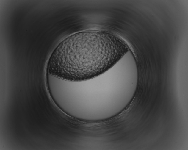 X0000090611483200707171035