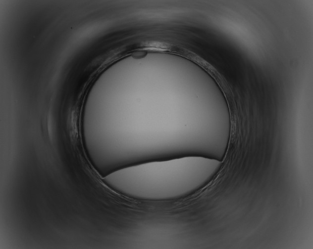 X0000090611487200707171035