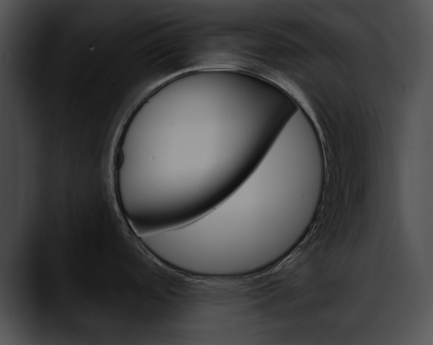 X0000090611488200707171035