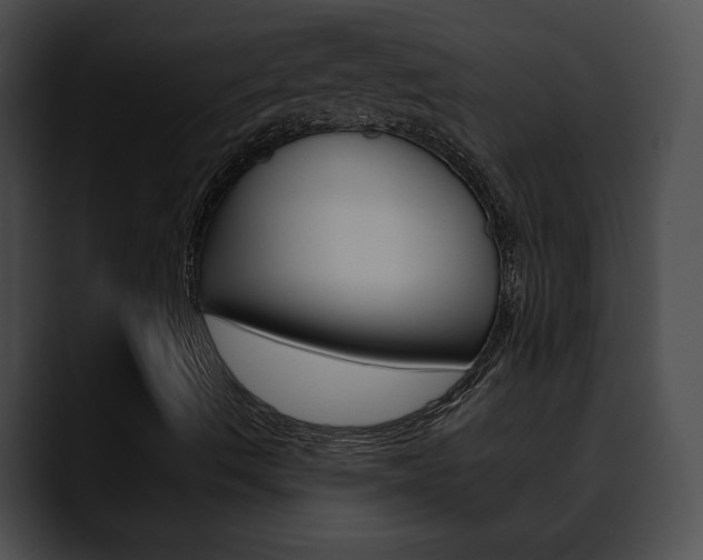 X0000090611490200707171034