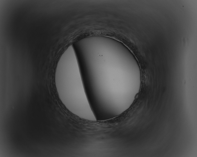 X0000090611493200707171034