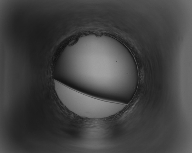 X0000090611494200707171034