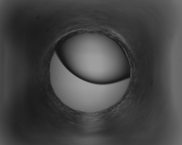 X0000090611496200707171034