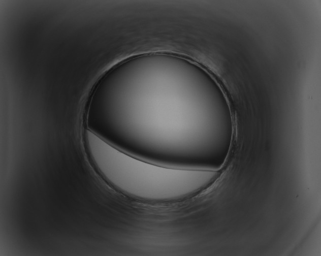 X0000090611500200707171034