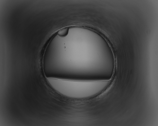 X0000090611501200707171034