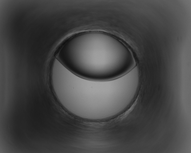 X0000090611502200707171034