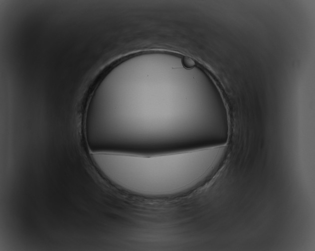 X0000090611503200707171034