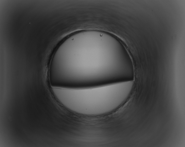 X0000090611507200707171034