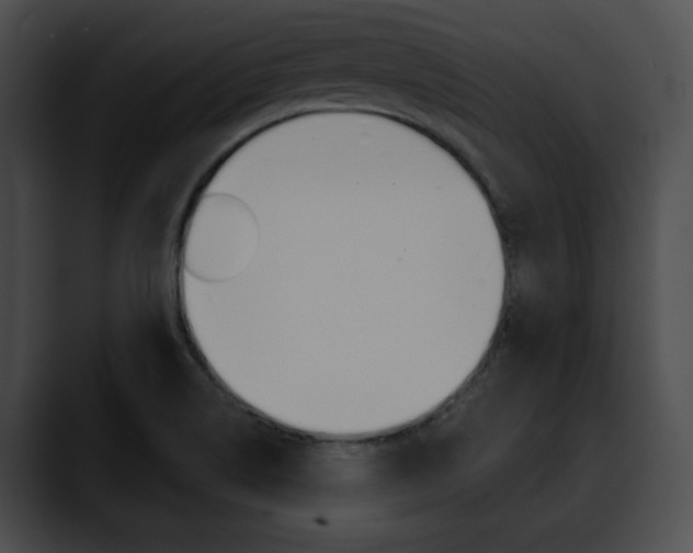 X0000090611514200707171034