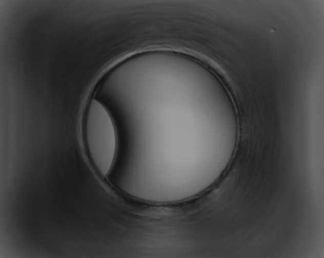 X0000090611517200707171034