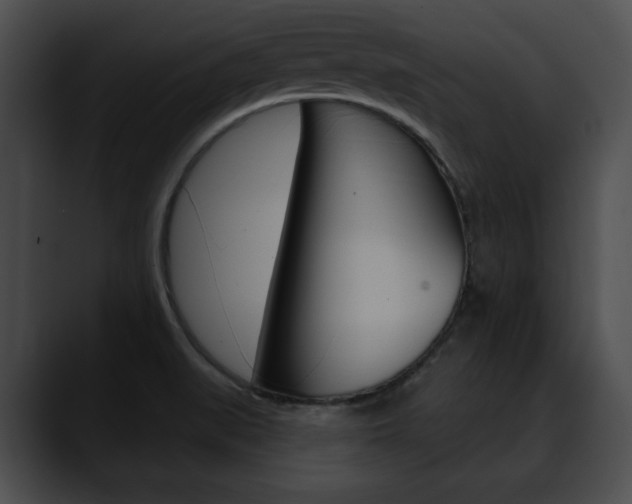 X0000090611519200707171034