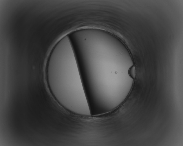 X0000090611522200707171035