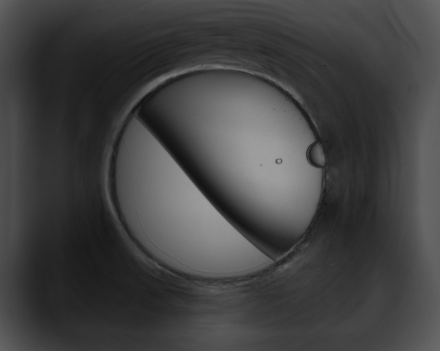 X0000090611523200707171035