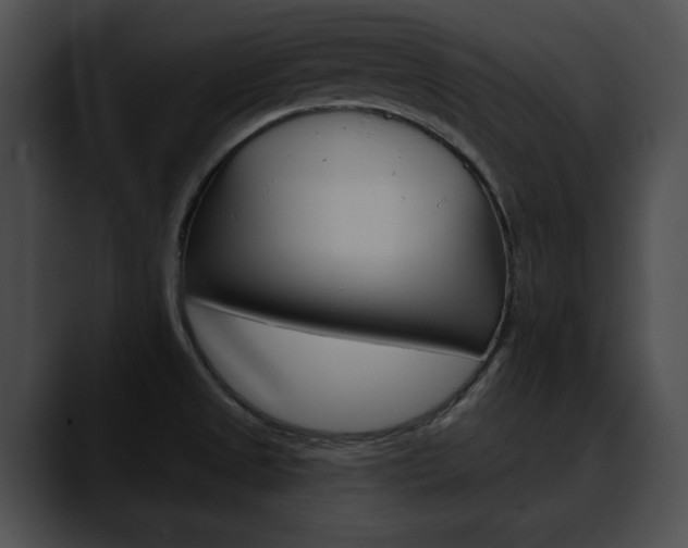 X0000090611525200707171035