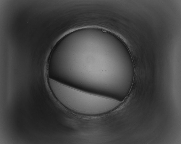 X0000090611526200707171035