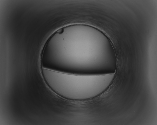 X0000090611527200707171035