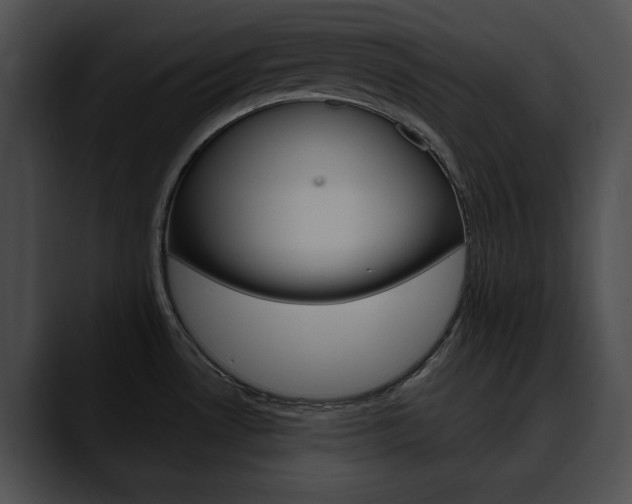 X0000090611530200707171035