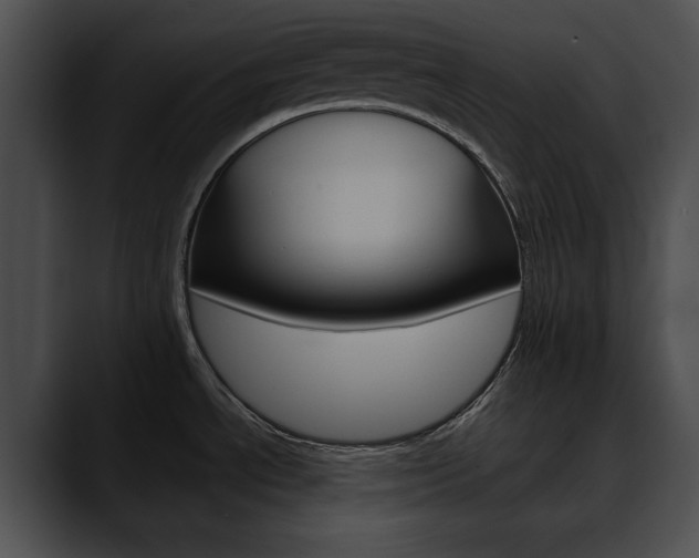 X0000090611534200707171035