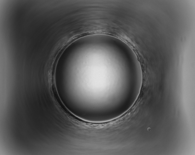 X0000090610002200707171425