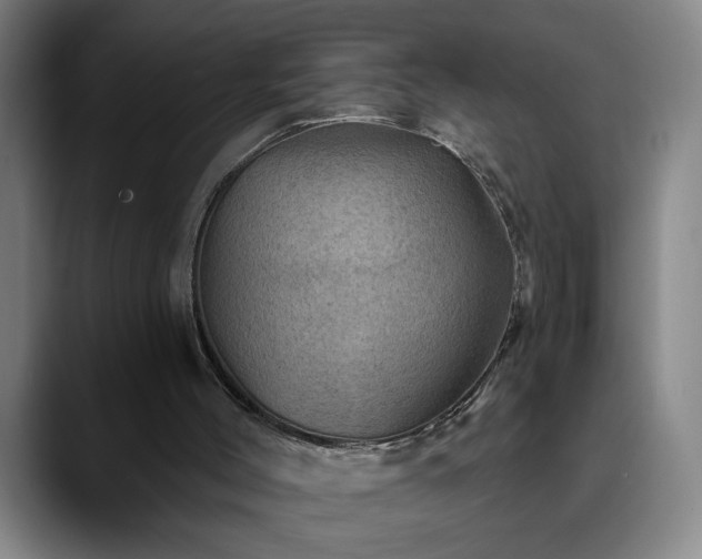 X0000090610004200707171425